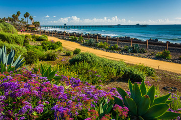 Colorful flowers and view of the fishing pier at Linda Lane Park - obrazy, fototapety, plakaty