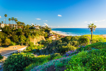Flowers on a hill and view of houses and the Pacific Ocean in Sa
