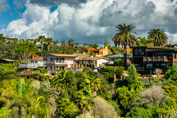 Fototapeta na wymiar Palm trees and houses on a hill in San Clemente, California.