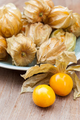 Golden Strawberry (Physalis) - exotic fruit
