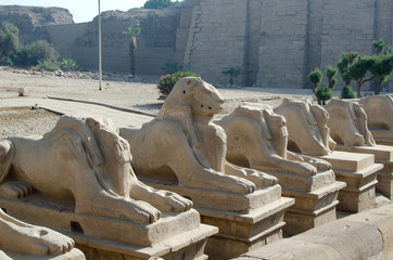 Sphinxes in Precinct of Amun-Re  (Karnak, Luxor, Egypt)