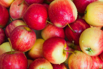 Red apples