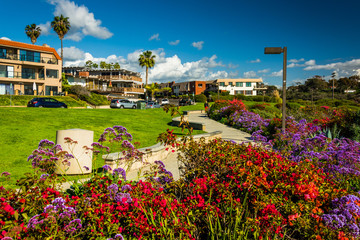 Obraz premium Flowers in a garden at Calafia Park and view of Avenida Lobeiro