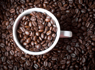 Coffee beans in coffee cup. Macro close up.