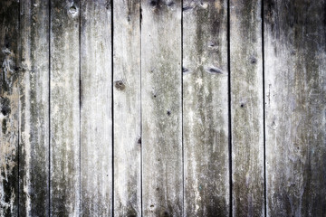The old wood texture with natural patterns
