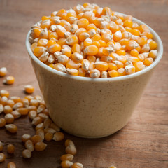 Bulk of corn grains