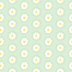 White daisies seamless pattern.Daisy field