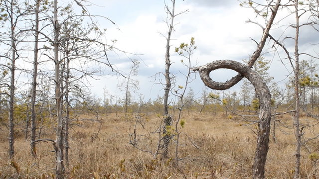 Wonderful knot in  node tree