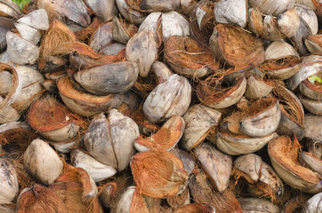 coconut shell or copra meal