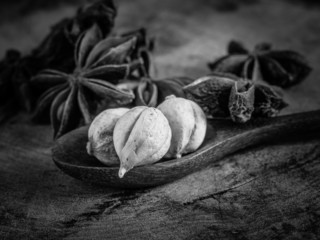  black and white cinnamon sticks and star anise