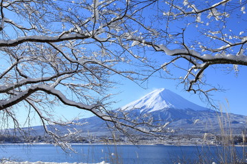 積雪の河口湖と富士山