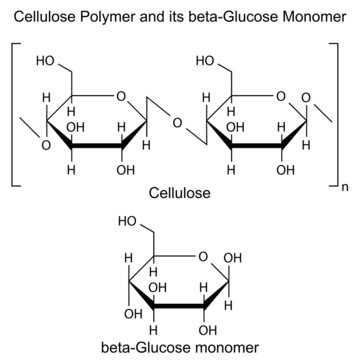 Structural formula of cellulose polymer