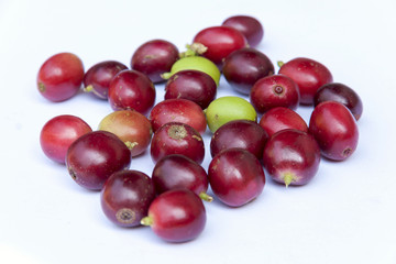 Fresh coffee beans on white background