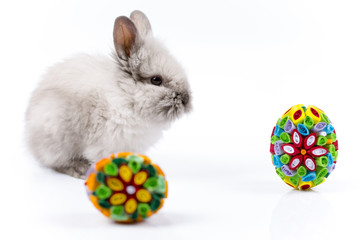 Easter bunny in basket and Easter eggs on white background 