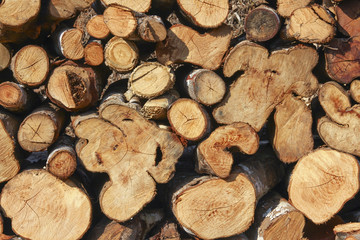 Woodpile with different shape