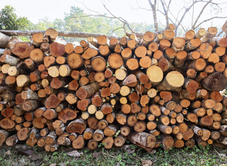 Woodpile with different shape outdoor