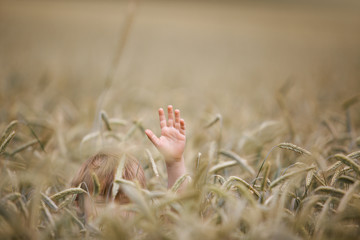 Boy in Wheat Field