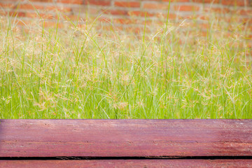 Fototapeta premium Green grass with Red brick wall background.