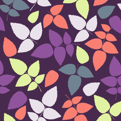 Fototapeta na wymiar Colored pattern on leaves theme. Autumn pattern with leaves.Can