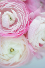 Букет ранункулюсов