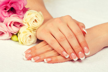 Fototapeta premium Beautiful female hands with french manicure