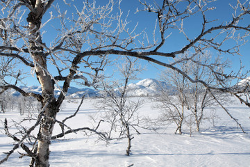 Fototapeta na wymiar Hovden im Winter, Norwegisches Wintersportgebiet