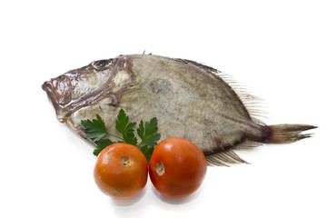 fresh fish isolated
