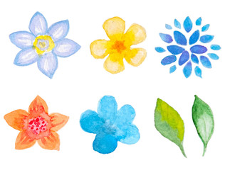 Watercolor floral elements for design