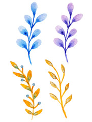 Watercolor floral elements