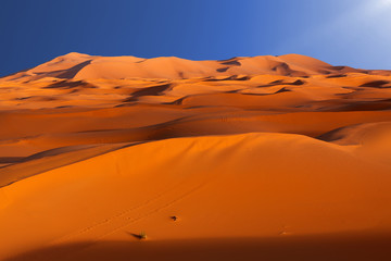 Fototapeta na wymiar Dunes in Morocco
