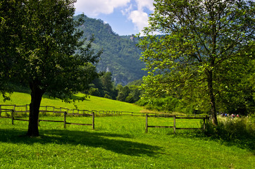Landscape at Tara mountain and national park