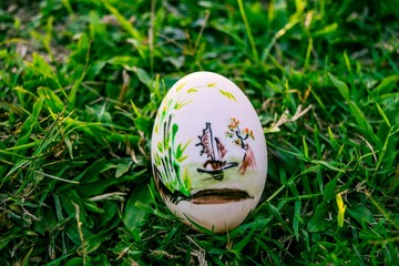 easter egg in fresh spring grass