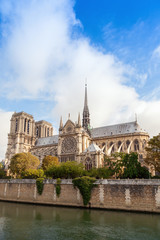Fototapeta na wymiar Notre Dame de Paris, vertical photo