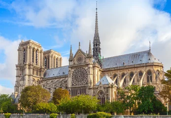 Tuinposter Notre Dame de Paris kathedraal, Frankrijk © evannovostro