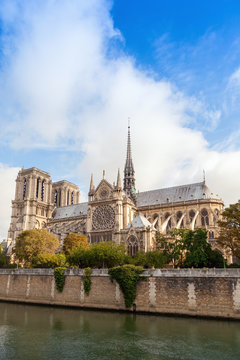 Notre Dame de Paris, vertical photo