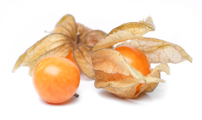 physalis