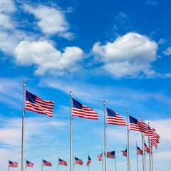 Washington Monument flags circle in DC USA
