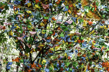 Fototapeta na wymiar Colorful paper birds hanging