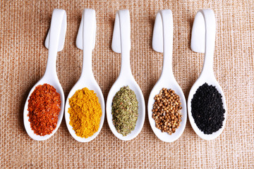 Different kinds of spices in ceramics spoons,