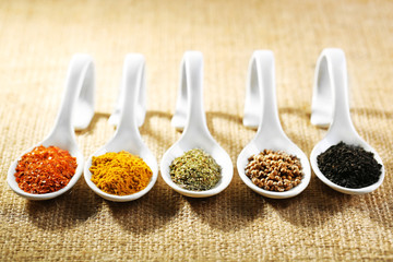 Different kinds of spices in ceramics spoons,