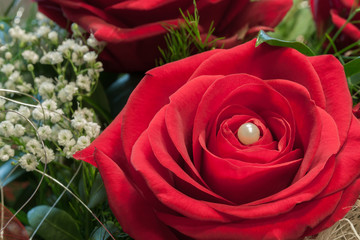 Die Farbe der Liebe - rote Rose mit weißer Perle