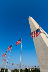 Washington DC Monument and american flags US