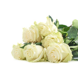 Pile of white roses isolated