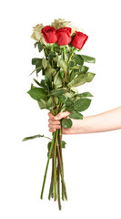 Hand holding bouquet of roses