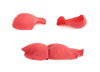 Red rose flower petals set isolated