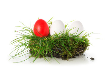 red and white eggs in a piece of turf, easter decoration isolate