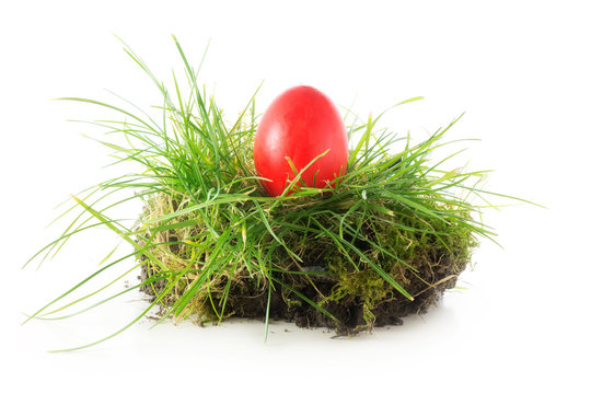red easter egg in a nest of grass, isolated on white