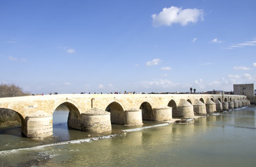 Roman Bridge and the Calahorra tower in Cordoba,Spain