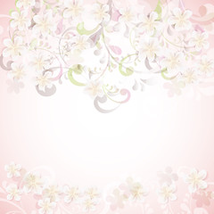 cherry blossom flowers background