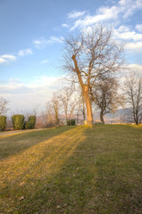 Oltrepo winter panorama. Color image